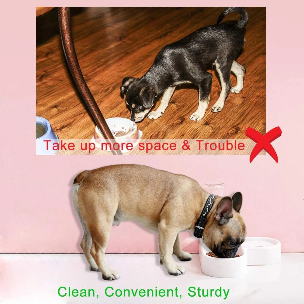 Pet Bowl with Automatic Water Dispenser