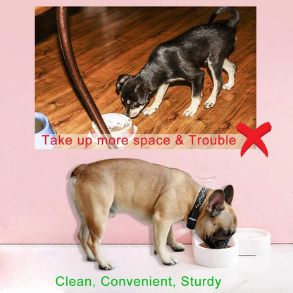 Pet Bowl with Automatic Water Dispenser