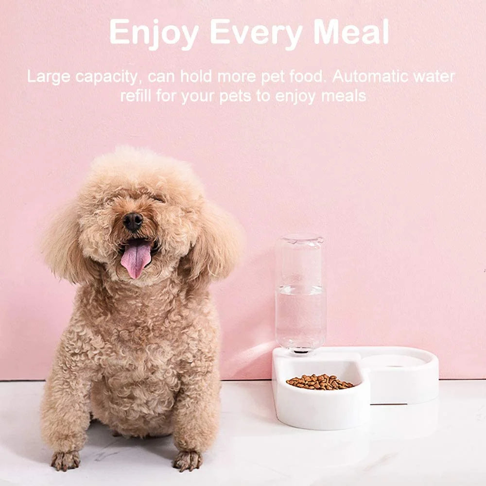 Pet Bowl with Automatic Water Dispenser