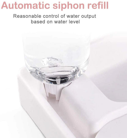 Pet Bowl with Automatic Water Dispenser